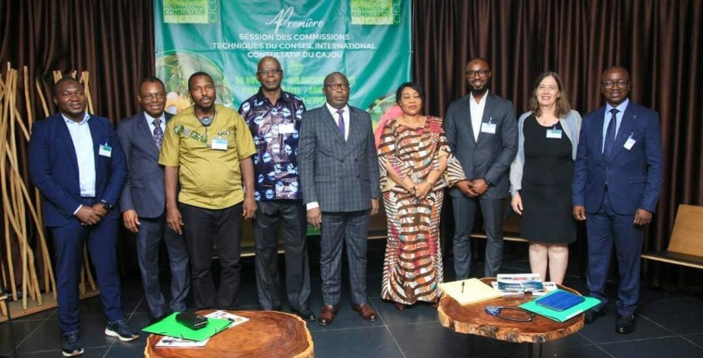 Côte d’Ivoire-AIP/ Le Conseil international consultatif du cajou installe ses commissions techniques