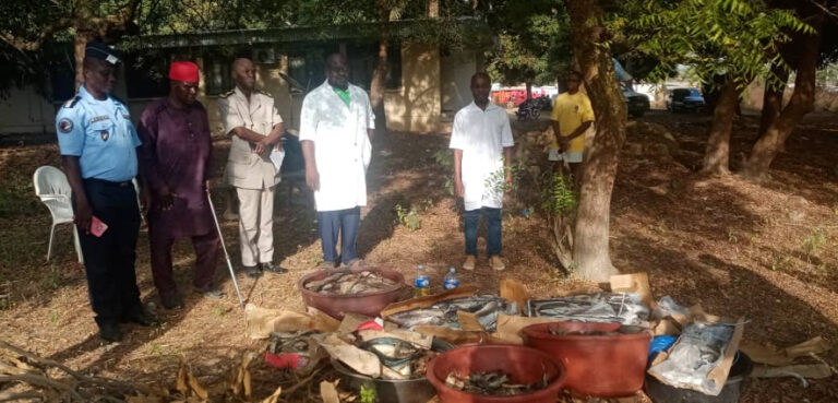 Côte d’Ivoire – AIP/ Saisie de 350 kg de poissons avariés à Mankono
