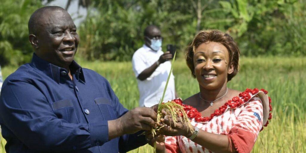Côte d’Ivoire-AIP/ Le gouvernement lance le programme de production alimentaire d’urgence à Gagnoa, Sakassou et Korhogo
