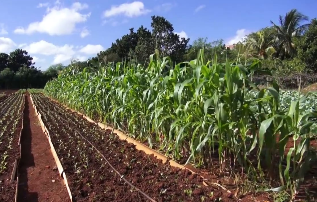 Côte d’Ivoire-AIP/ ActionAid Nigeria forme les journalistes d’Afrique de l’Ouest à l’agroécologie et à la justice climatique
