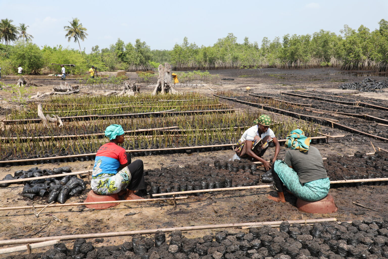 AIP/ La FAO édifie les parties prenantes sur les missions du projet SAGA 2 en Côte d’Ivoire