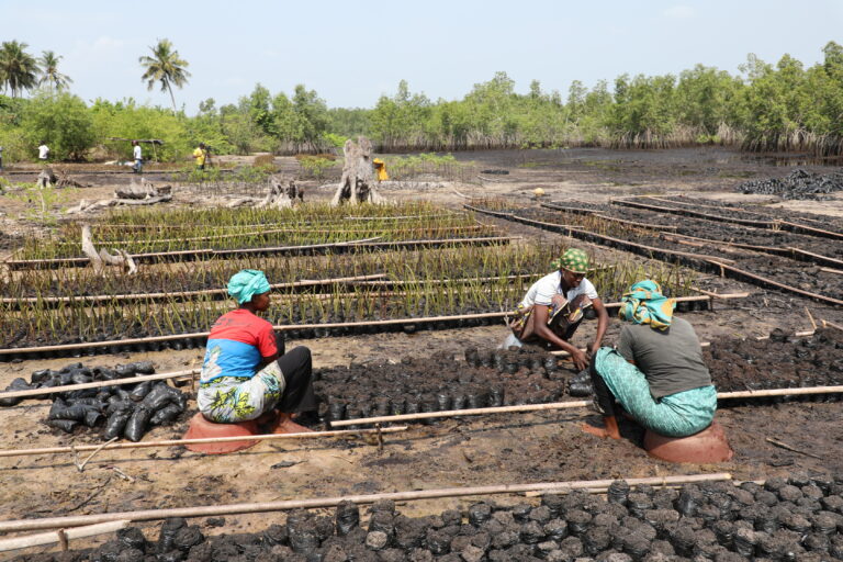AIP/ La FAO édifie les parties prenantes sur les missions du projet SAGA 2 en Côte d’Ivoire