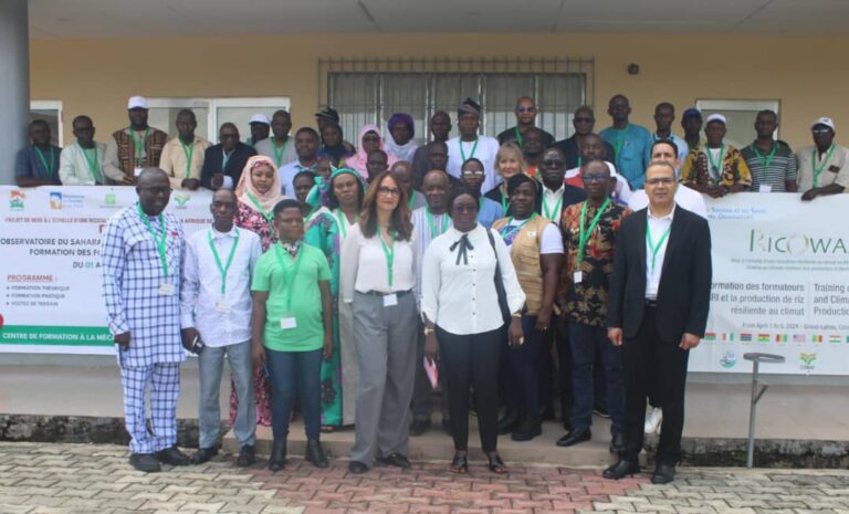 Côte d’Ivoire-AIP/ Des experts réfléchissent pour une riziculture résiliente au climat en Afrique de l’Ouest