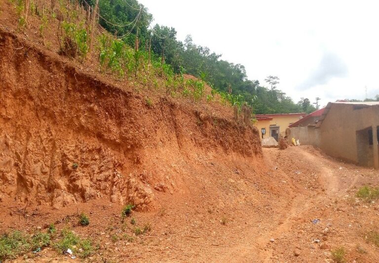 Côte d’Ivoire-AIP/ Préservation de la forêt classée : La SODEFOR appelle à l’arrêt immédiat des constructions illégales à Bongouanou