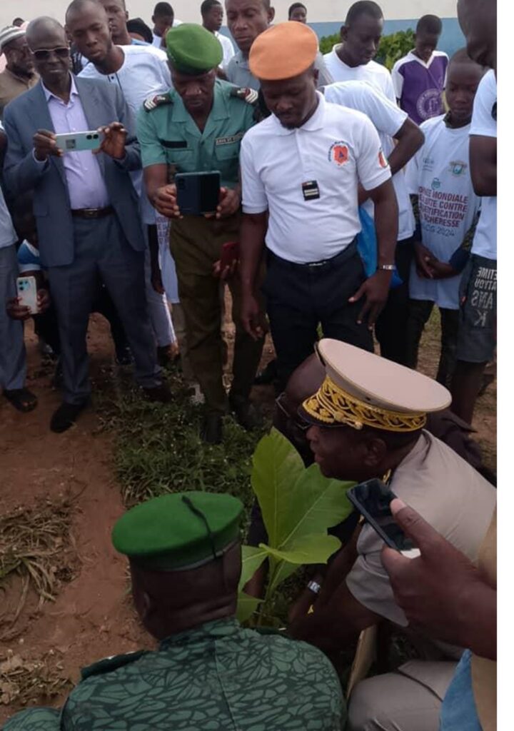 Côte d’Ivoire- AIP/ Journée mondiale de l’environnement 2024 : trois cents plants de teck repiqués à Touba