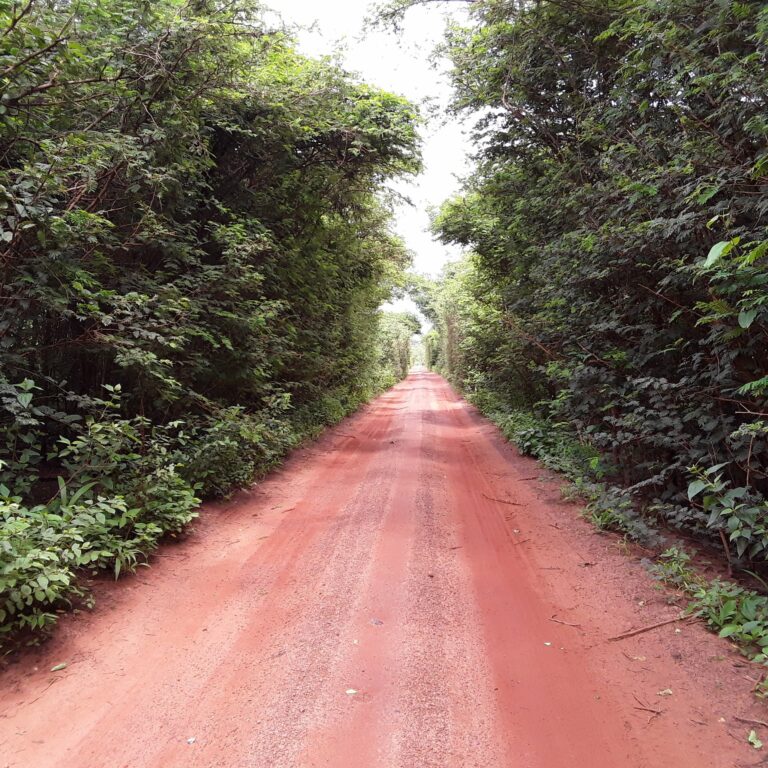 Côte d’Ivoire-AIP/ Un mort et un blessé dans une attaque de coupeurs de route sur l’axe Kodo-Danoa