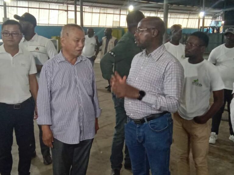 Côte d’Ivoire-AIP/ Coupures d’électricité à Sassandra : Les entreprises demandent des solutions durables pour minimiser l’impact sur leurs activités
