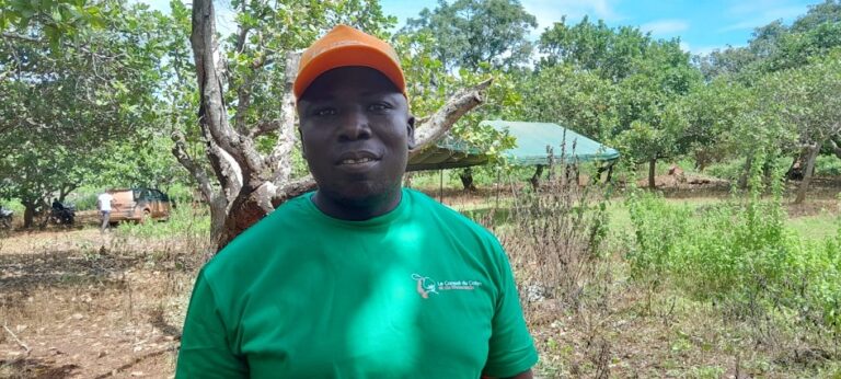 Côte d’Ivoire-AIP/ Les producteurs et acheteurs d’anacarde de Dianra s’engagent dans la qualité de la noix brute de cajou