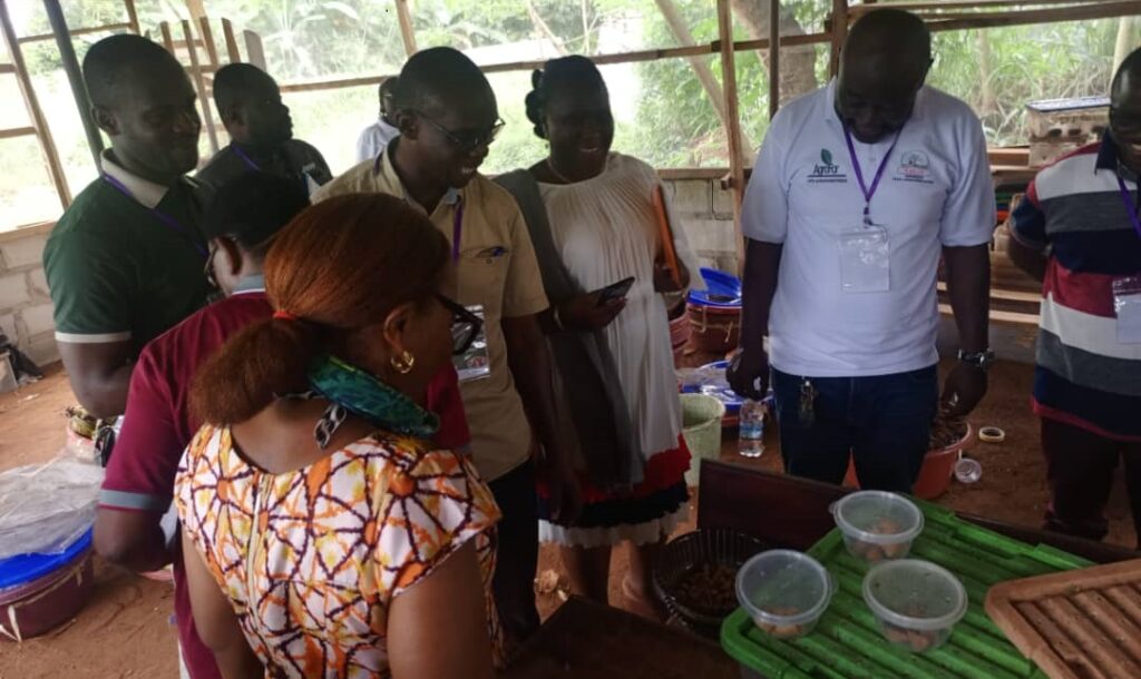 Côte d’Ivoire – AIP/ Une vingtaine de cultivateurs se forment à l’élevage de chenilles et de hannetons de palmier à l’université de Daloa