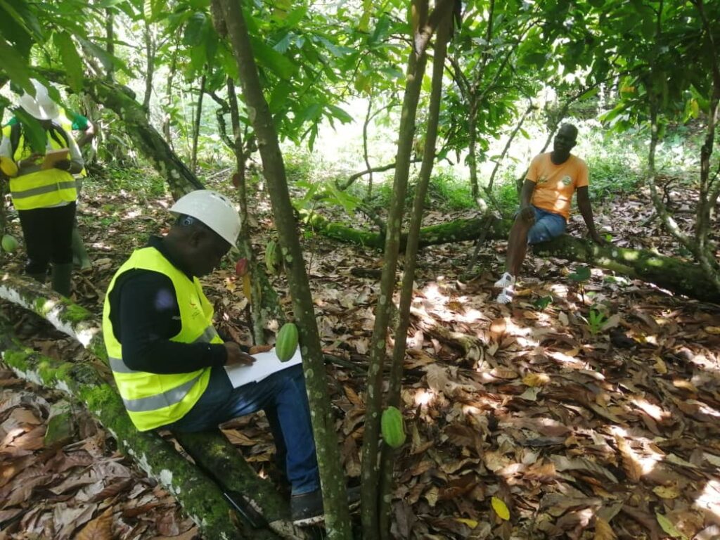 Côte d’Ivoire-AIP/ L’inspecteur de Travail de la Nawa sensibilise les producteurs café-cacao de Liadji