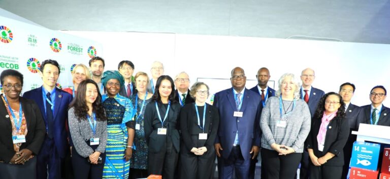 AIP/COP29 à Bakou : Laurent Tchagba réaffirme l’engagement de la Côte d’Ivoire auprès du FNUF contre la crise climatique mondiale