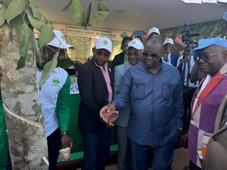 AIP/ Aux JAAD 2024, l’APROMAC promeut la culture de l’hévéa dans le Nord ivoirien