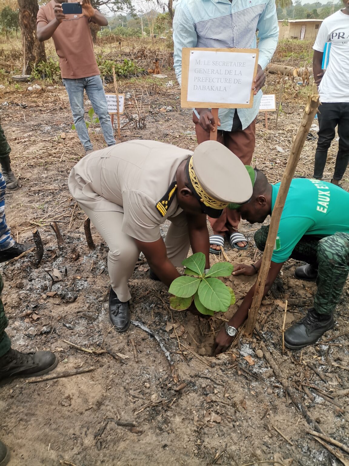 Côte d’Ivoire-AIP/ Une opération de planting d’arbres initiée à Dabakala pour célébrer la journée nationale de la paix