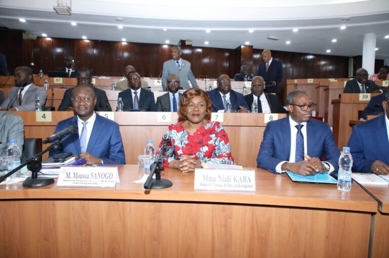 Côte d’Ivoire-AIP/La ministre Kaba Nialé obtient le quitus des députés pour les crédits budgétaires de 29,085 milliards FCFA de son département