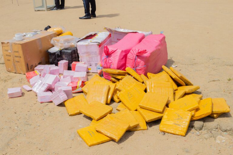 Côte d’Ivoire – AIP / L’opération Epervier 9 marquée par le démantèlement de 81 fumoirs et la saisie de deux tonnes de cannabis dans le Sud-Comoé (Préfet de police)