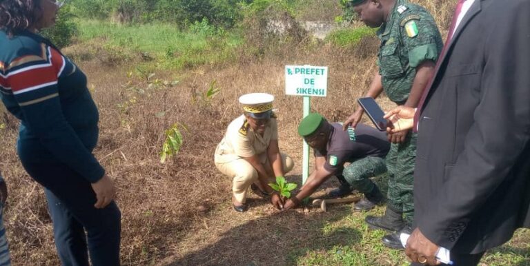 Côte d’Ivoire-AIP/Une opération de planting d’arbres au lycée municipal de Sikensi pour célébrer la paix