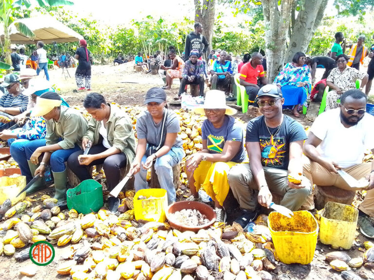Côte d’Ivoire-AIP/ Des entreprises et chocolatiers à la découverte de l’écabossage du cacao à Affalikro