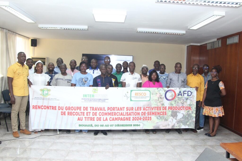 AIP/Projet RESCO: plusieurs variétés de semences relancent la production cotonnière en Côte d’Ivoire