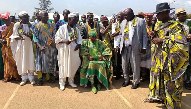 Côte d’Ivoire-AIP / Le coordonnateur des chefs de communautés du district des Montagnes intronisé