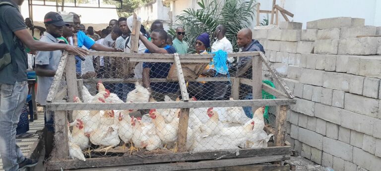 Côte d’Ivoire-AIP/ Don de 3000 poulets aux familles démunies de Bouaké par le député Paul Dakuyo