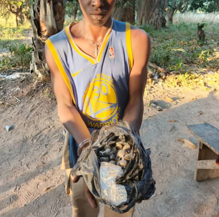 Côte d’Ivoire-AIP/ Des fumoirs de stupéfiants détruits par la police de Ferkessédougou