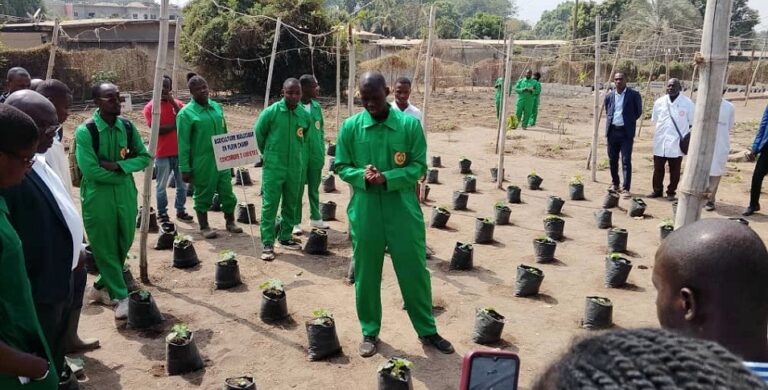 Côte d’Ivoire-AIP/ Le Groupe écoles Rostan-ISLG-USAT présente son dispositif de formation pratique au grand public