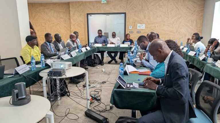 Côte d’Ivoire-AIP/ Journée mondiale des maladies tropicales négligées: Speak Up Africa veut davantage impliquer les hommes de médias