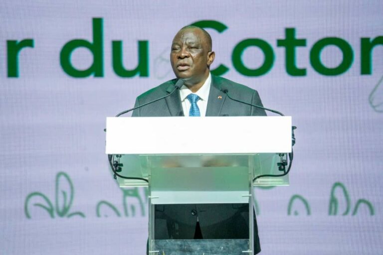 Côte d’Ivoire-AIP/ Le prix bord champ du kg de l’anacarde fixé à 425 FCFA pour la campagne 2024-2025 (Ministre)