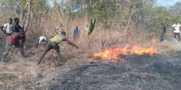 Côte d’Ivoire-AIP/ Mobilisation des jeunes pour stopper un feu de brousse à Nassian