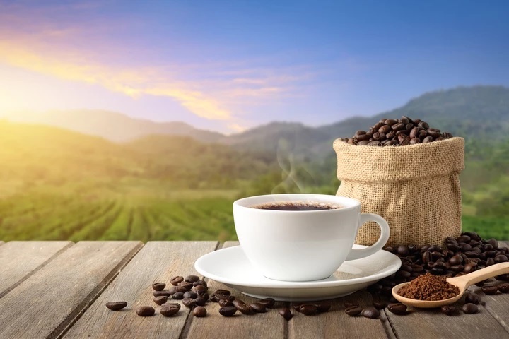 Côte d’Ivoire-AIP/Inter/ Les prix du cacao et du café en forte hausse en décembre, selon la Banque mondiale