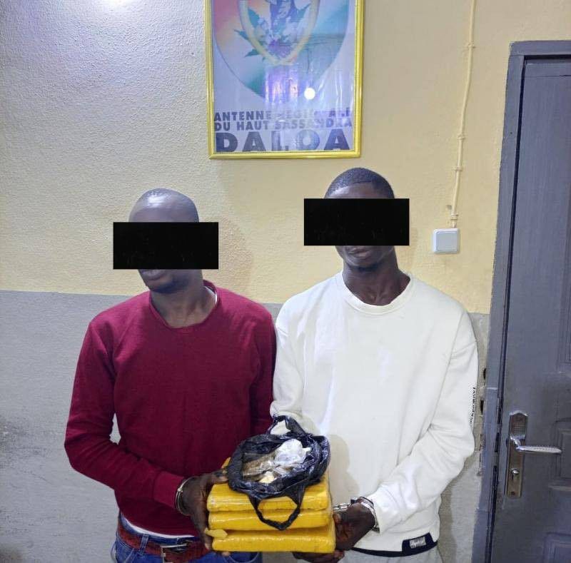 Côte d’Ivoire-AIP/ Deux présumés trafiquants de drogue interpellés à Vavoua