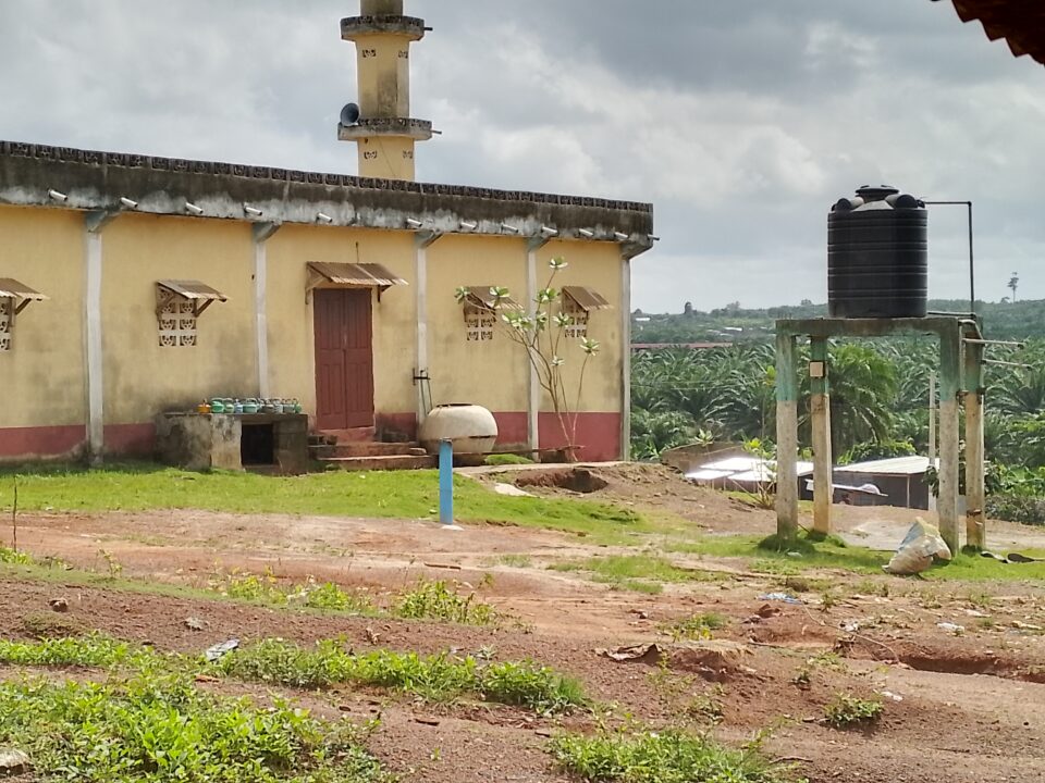 Côte d’Ivoire-AIP / Des villages de Guitry bénéficient de forages grâce au projet Café-Cacao et au soutien du député-maire Patricia Yao Sylvie