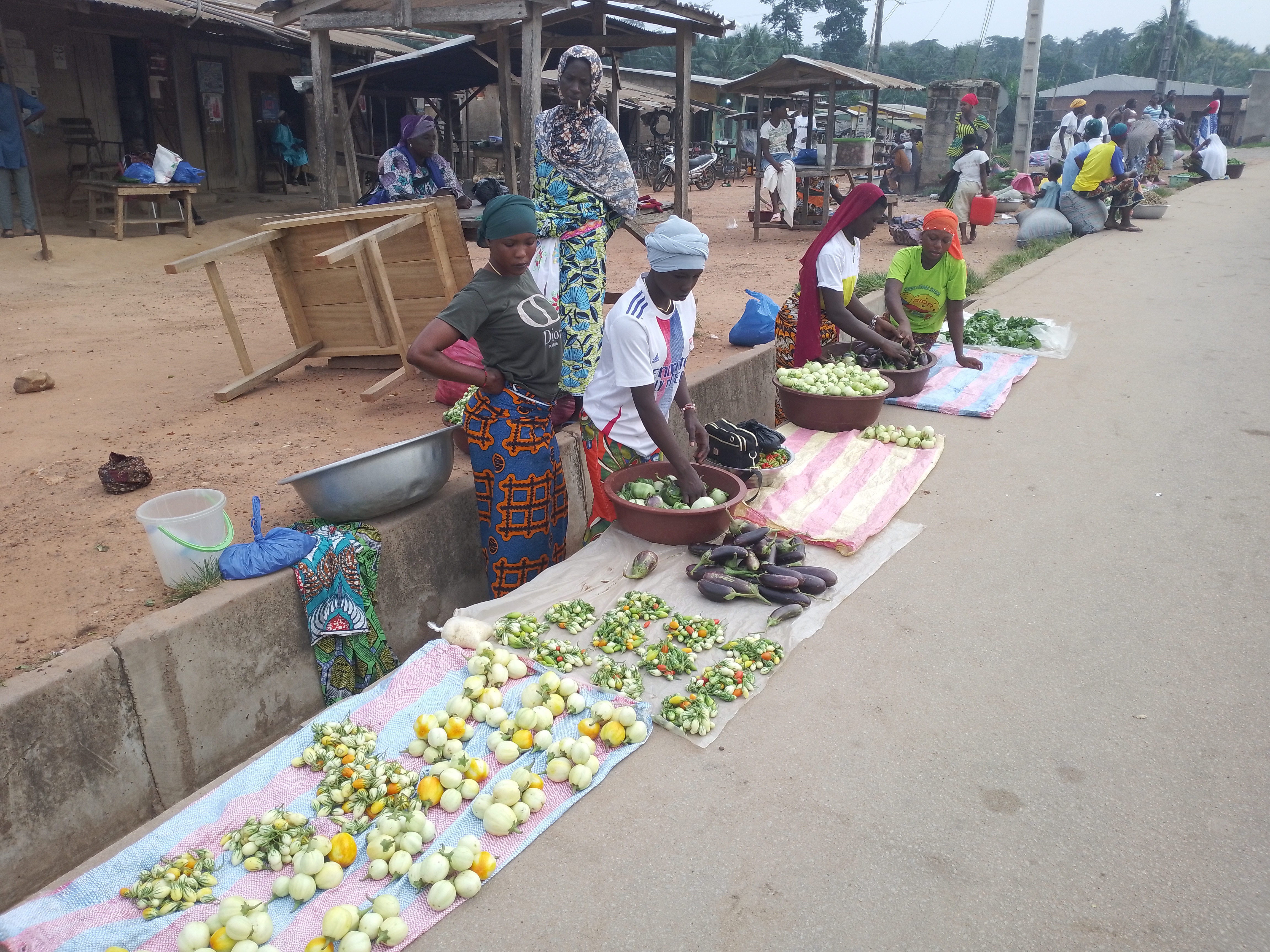 Côte d’Ivoire-AIP/ Des habitants de Dioligbi dénoncent l’occupation anarchique des rues