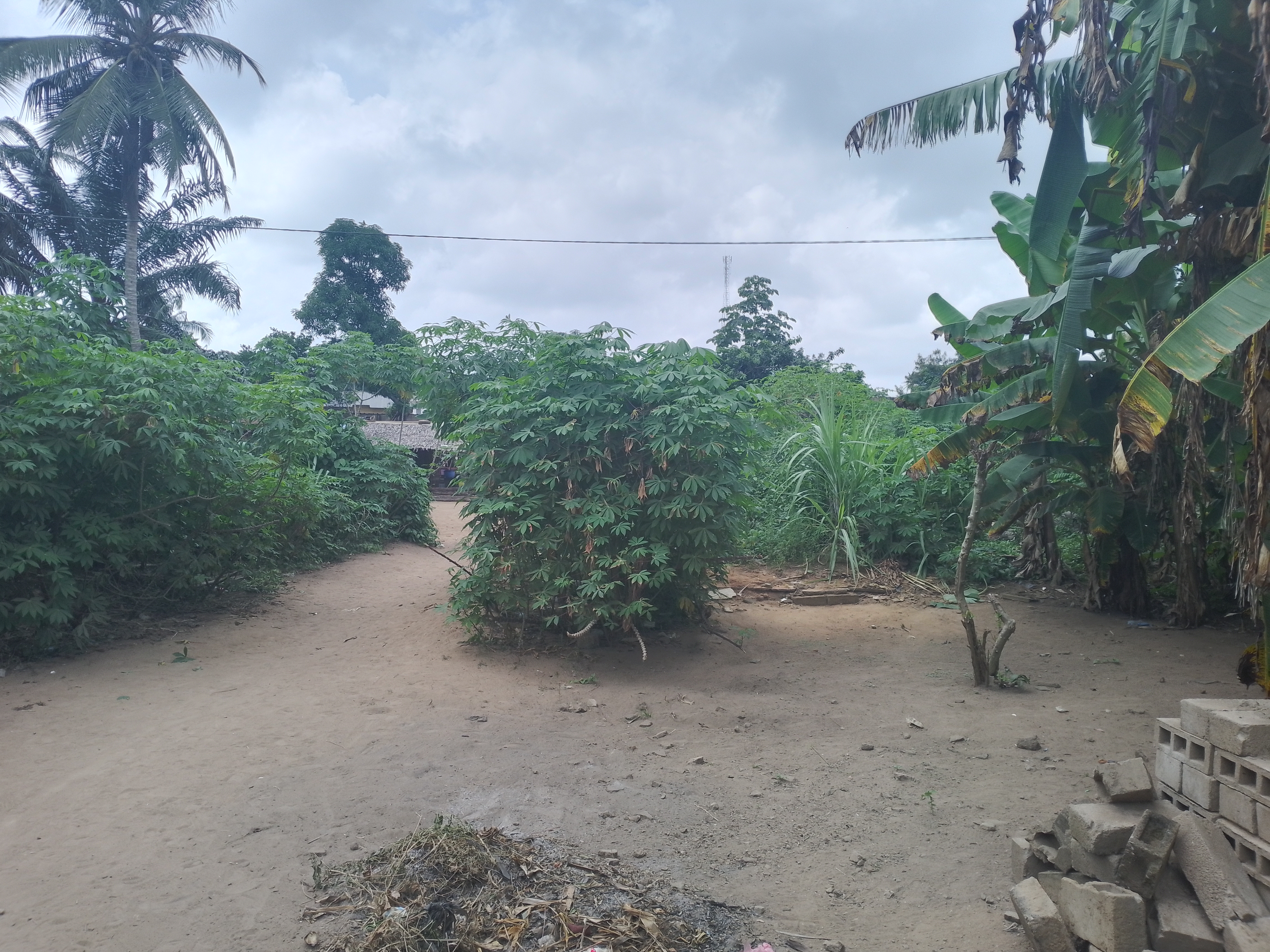 Côte d’Ivoire-AIP/ Le chef du village de Yocoboué expose sur la procédure d’acquisition des terres dans sa localité