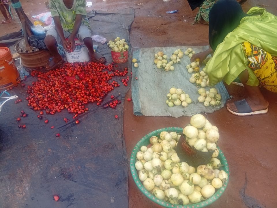 Côte d’Ivoire-AIP / Les prix de plusieurs denrées alimentaires en nette baisse sur le marché à Guibéroua