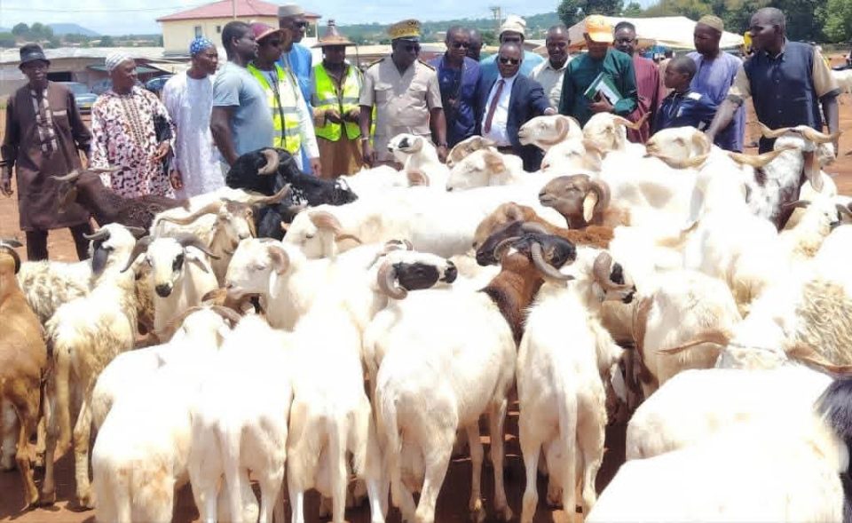 Côte d’Ivoire-AIP/ Les autorités et les acteurs de la filière bétail du Bafing mobilisés pour assurer l’approvisionnement en moutons à la Tabaski 2026