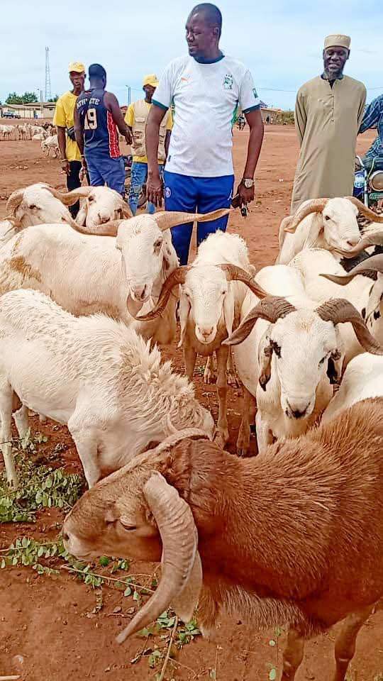 Côte d’Ivoire-AIP / Touba : des bœufs et des moutons offerts aux populations et aux imams du Bafing à l’approche de la Tabaski