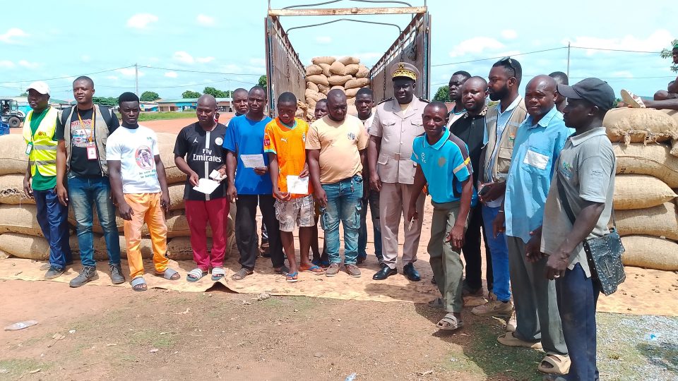 Côte d’Ivoire-AIP/ Les ventes groupées de cajou présentées comme un rempart contre les acheteurs véreux à Kouto
