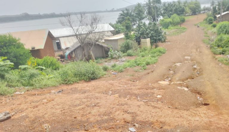 Côte d’Ivoire-AIP/ D’accès difficile, le village de Marley lance un cri de détresse aux autorités