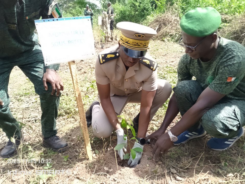 Côte d’Ivoire-AIP/ Guibéroua: le cantonnement des Eaux et Forêts associe une opération de reboisement à la Journée nationale de la paix