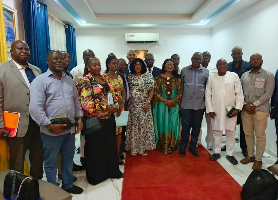 Côte d’Ivoire-AIP/ L’ONG AFA promeut la modernisation de la culture du ...