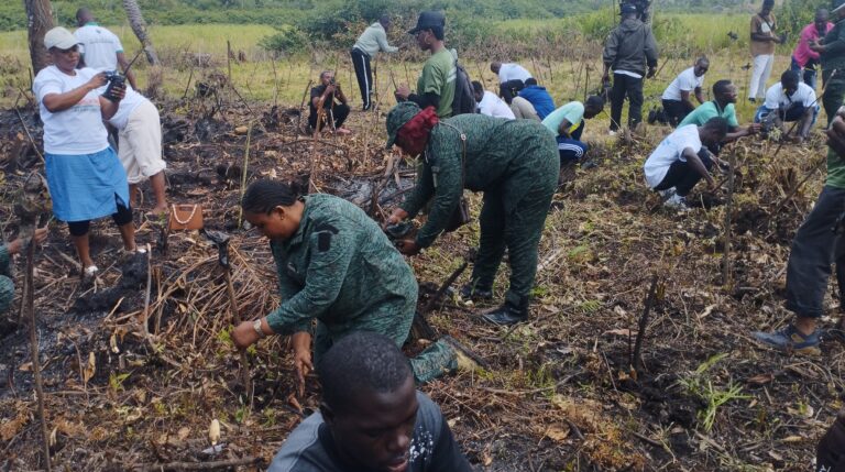 Côte d’Ivoire – AIP/ Le rôle des mangroves mis en exergue dans un village côtier de Dabou