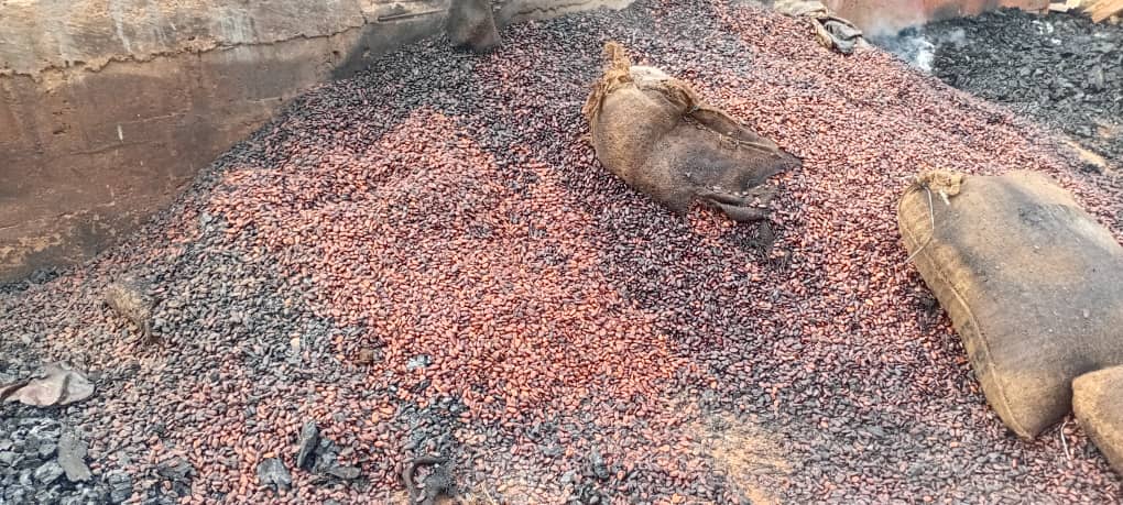Côte d’Ivoire-AIP/Un magasin de stockage de cacao ravagé par un incendie à Sassandra
