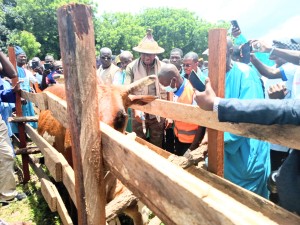 Côte d'Ivoire-AIP/ Le ministre Sidi Touré appelle les éleveurs de Minignan à faire vacciner tous leurs animaux