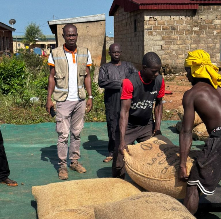 Côte d’Ivoire-AIP/ Le Conseil du coton et de l’anacarde rassure les producteurs du Béré sur l’écoulement des stocks de cajou de qualité