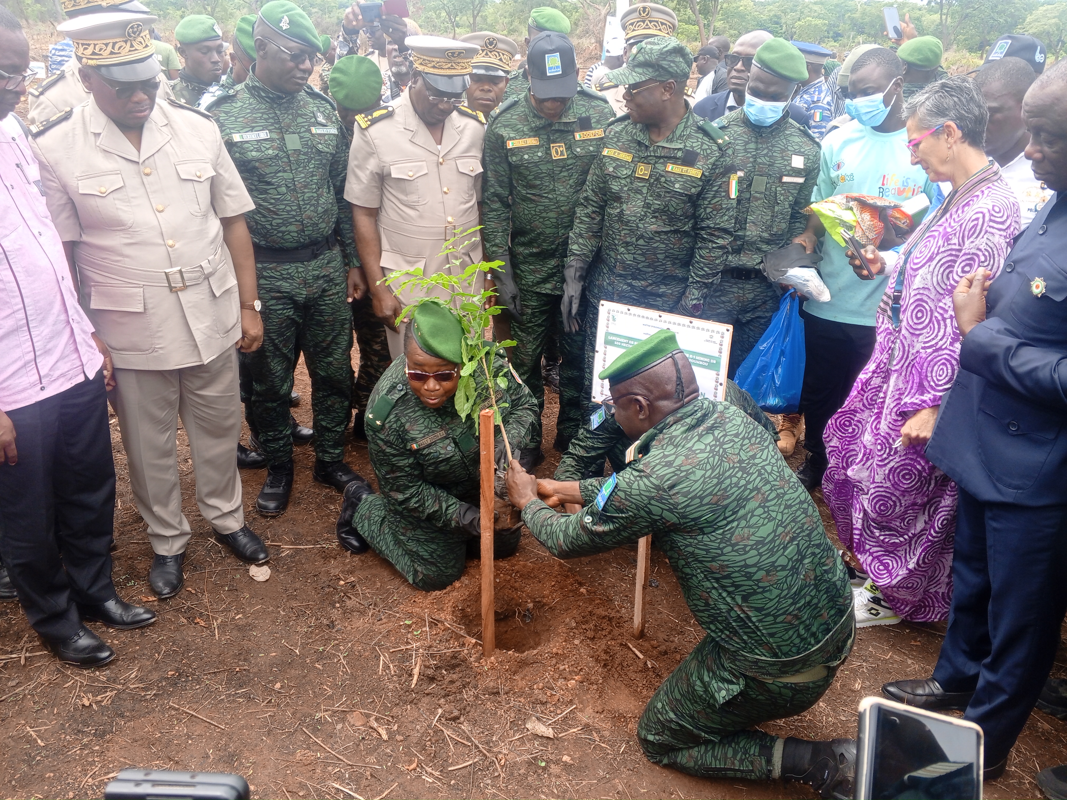 Côte d’Ivoire-AIP/ Reboisement compensatoire de 500 hectares de la forêt classée de Foumbou restaurés pour concilier exploitation minière et protection forestière