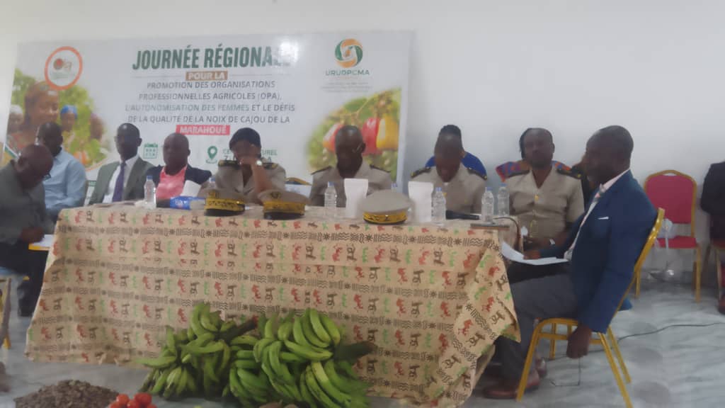 Côte d’Ivoire-AIP / Marahoué : Les acteurs de la filière anacarde renforcent l’autonomisation des femmes et la promotion de la qualité