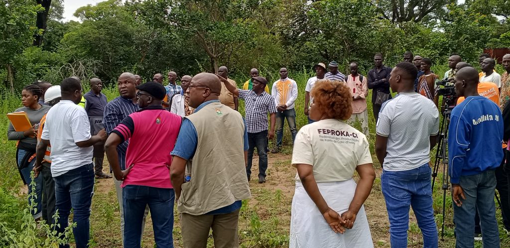 Côte d’Ivoire-AIP/Des acteurs du Tchologo formés aux techniques de restauration des parcs à karité