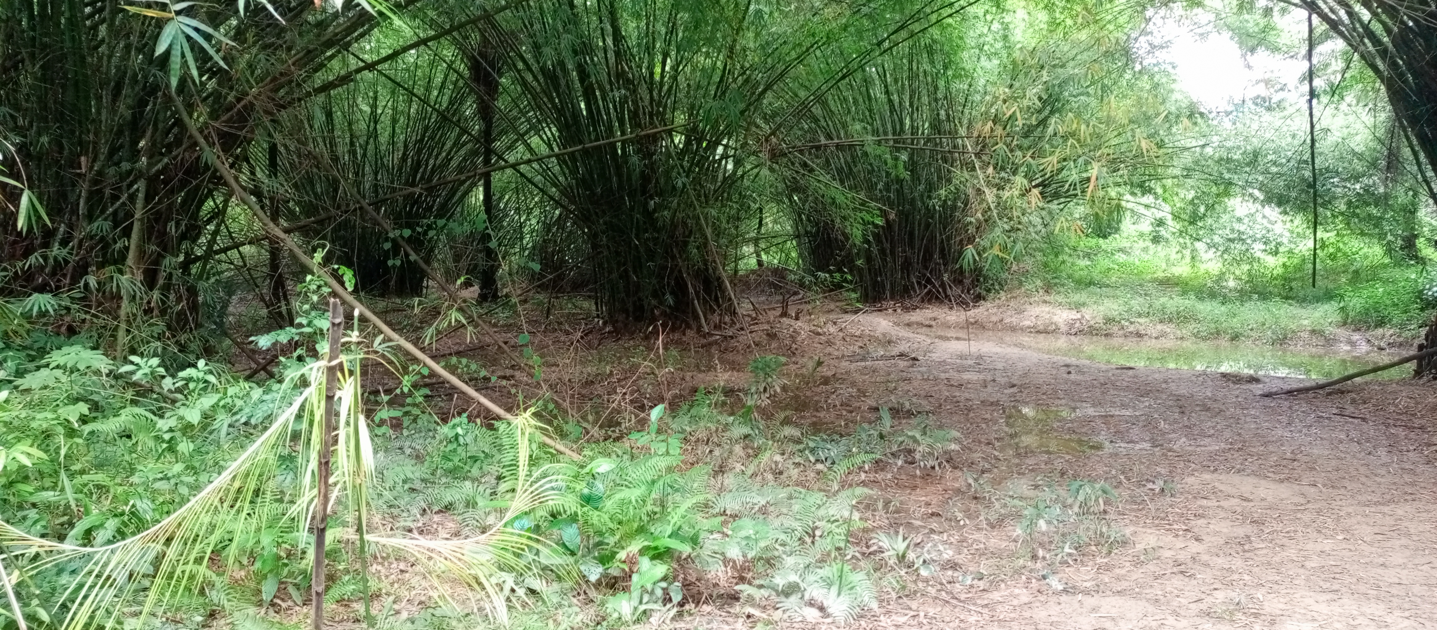 Côte d’Ivoire-AIP / Trois enfants retrouvés sans vie après deux jour de disparition à Grabo