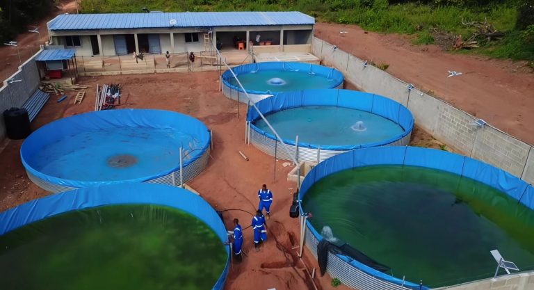 Côte d’Ivoire-AIP/ Une ferme piscicole à Touba ambitionne de produire 60 tonnes de poissons par an d’ici 2028